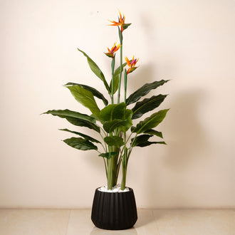 Artificial Plants & Pots