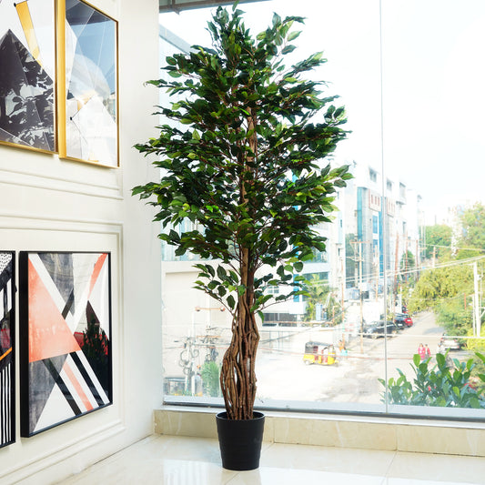 Artificial Trees/Plants Whispers of Nature - Artificial Ficus Plant ~ 7 Feet Tall