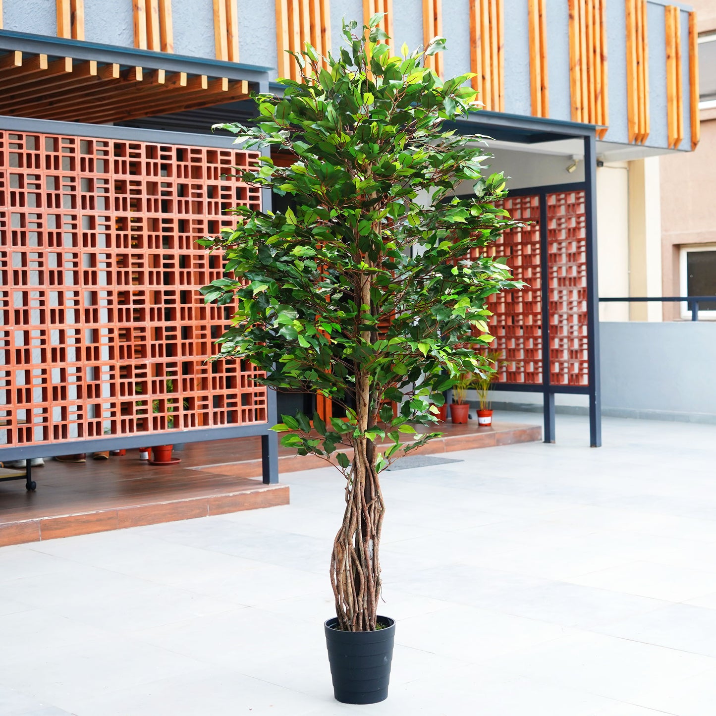 Artificial Trees/Plants Whispers of Nature - Artificial Ficus Plant ~ 7 Feet Tall