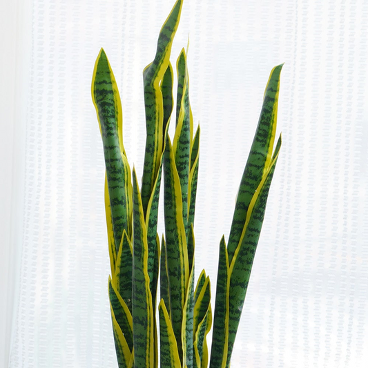 Custos - Artificial Snake Plant ~ 3 Feet Tall