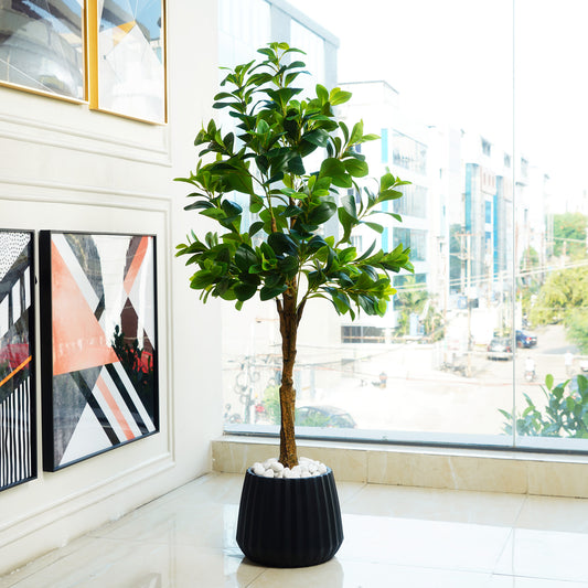 Artificial Trees/Plants Peaceful Retreat ~ 5 Feet Tall Artificial Peperomia Plant