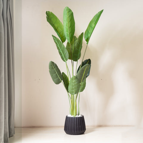 Tropical Splendor: ≈ 7 Feet Tall Artificial Banana Delight Plant (With Black Base Pot)