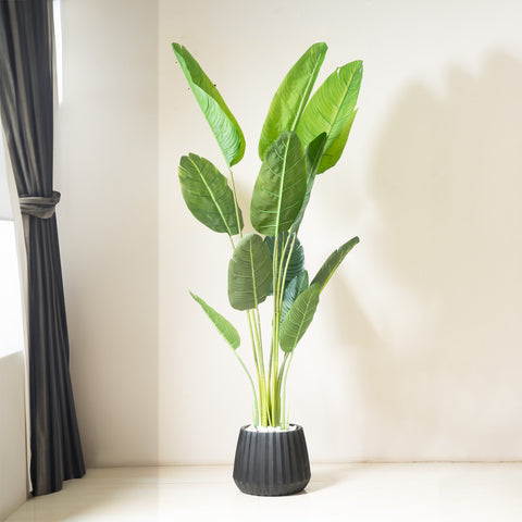 Tropical Splendor: ≈ 7 Feet Tall Artificial Banana Delight Plant (With Black Base Pot)