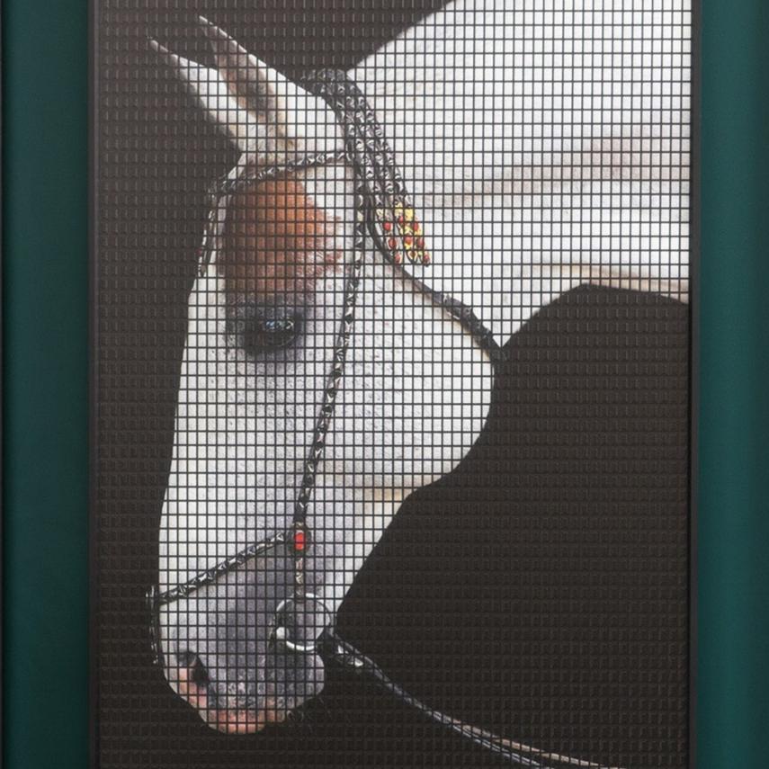 Majestic Mane Masterpiece - Unique 3D Textured Horse Wall Art