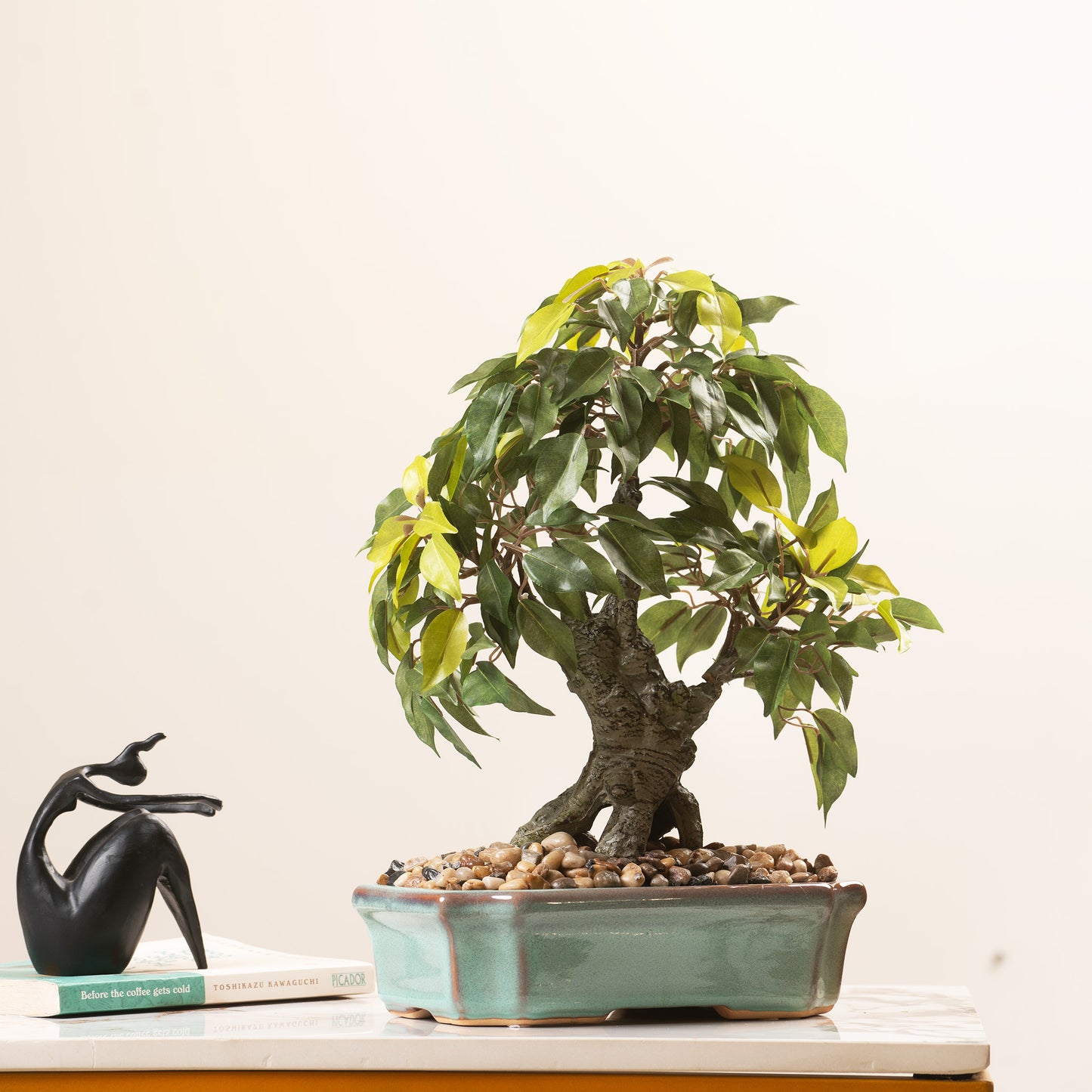 Artificial Trees/Plants Ficus Whispers of Nature - 1.2 Feet Artificial Ficus Plant (With Ceramic Pot)