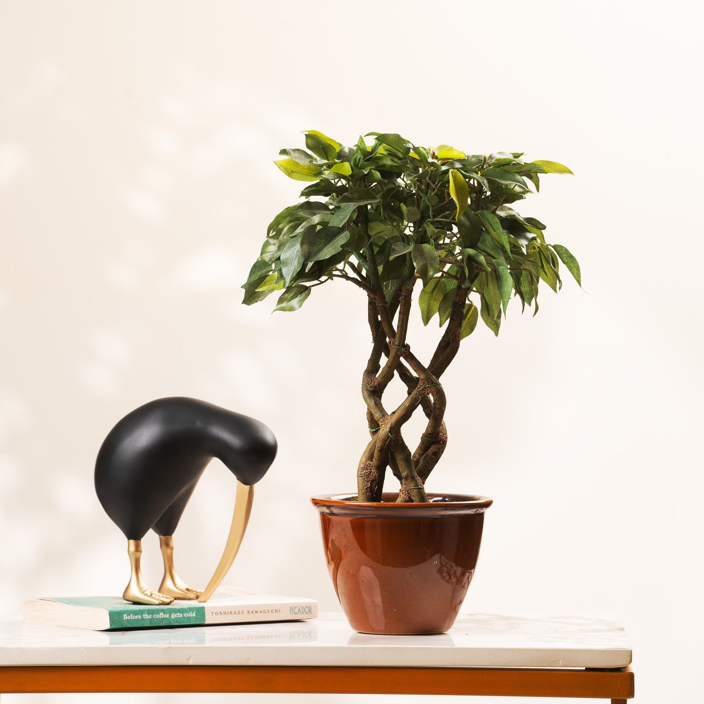 Artificial Trees/Plants Timeless Radiance: ≈ 1.5 Feet Artificial Ficus Plant (with Ceramic Pot)