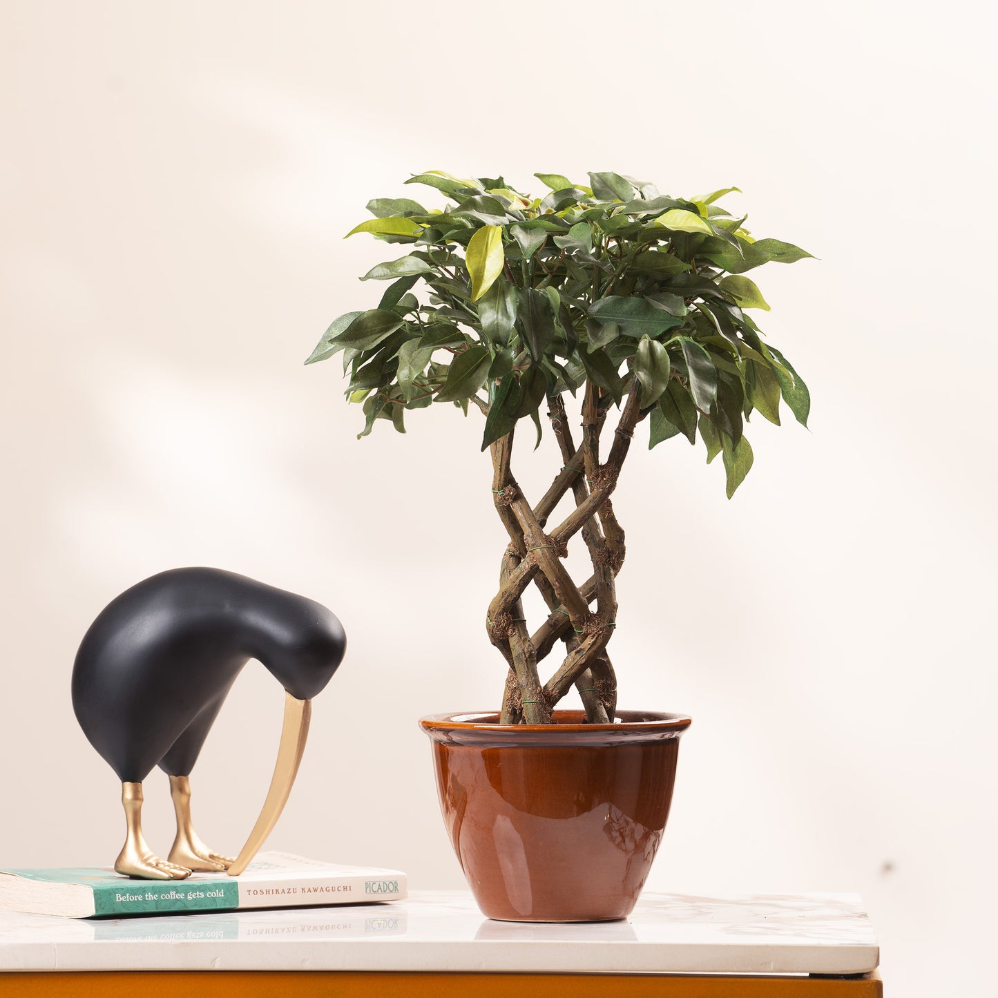 Artificial Trees/Plants Timeless Radiance: ≈ 1.5 Feet Artificial Ficus Plant (with Ceramic Pot)
