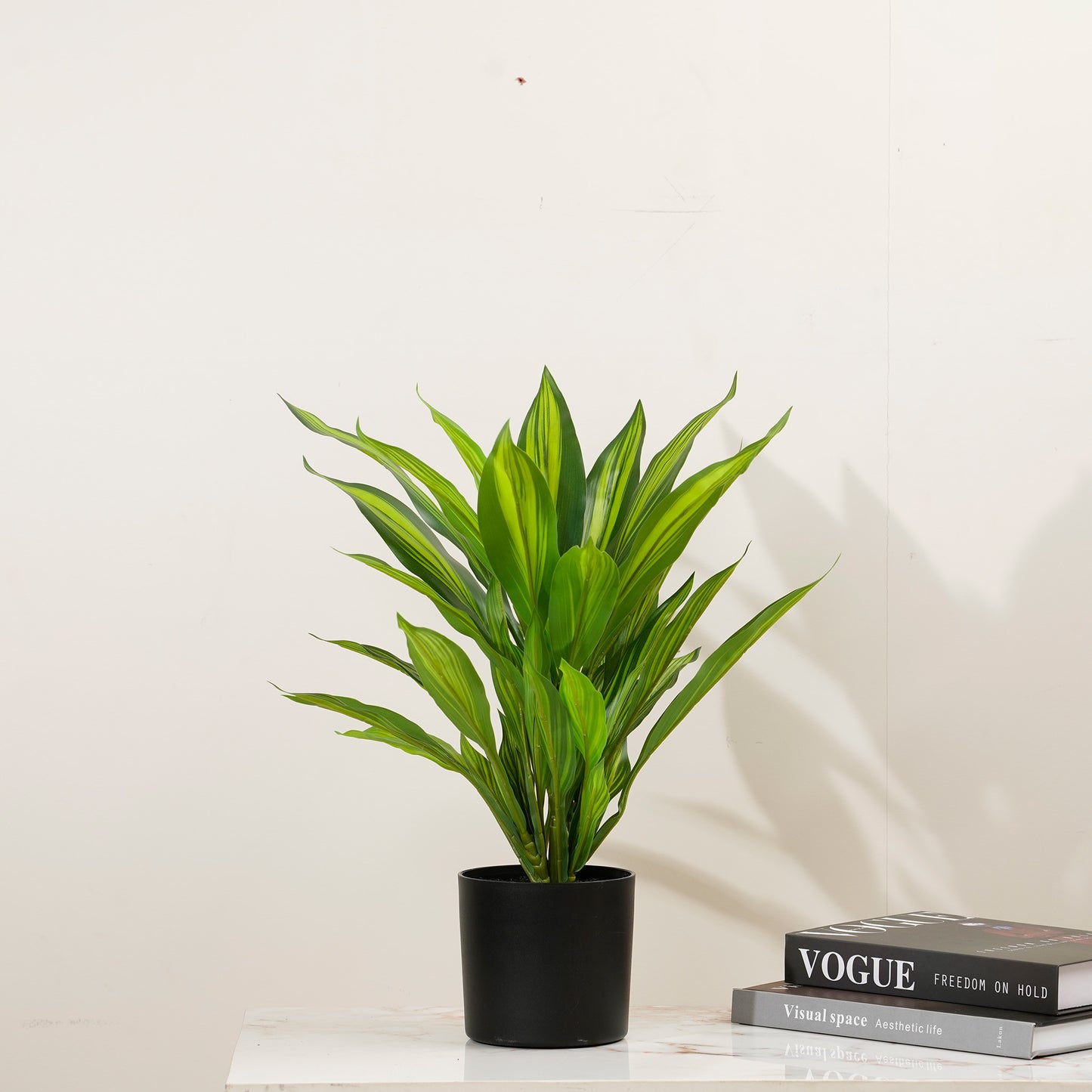 Artificial Trees/Plants Verdant Harmony - 1.8 Feet Tall Dracaena Artificial Plant