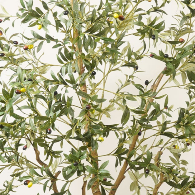 Artificial Trees/Plants Mediterranean Serenity - 7.8 Feet Tall Olive Tree Artificial Plant