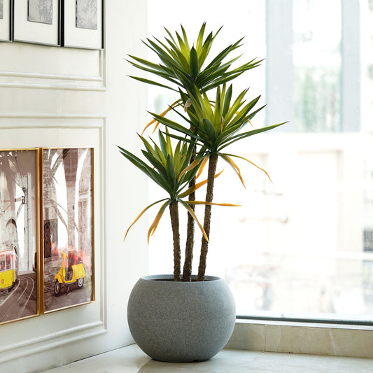 Artificial Trees/Plants The Desert Bloom - Artificial 5 Feet Tall Yucca Plant with Real Touch Silicone Leaves