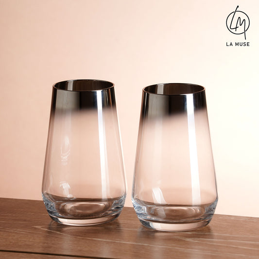 Tumblers Platinum Paladin - Silver Finish Tumbler Water Glasses (Set of 4)