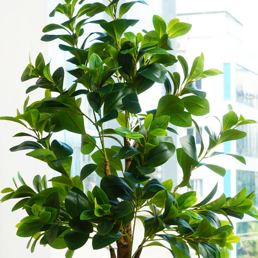 Artificial Trees/Plants Peaceful Retreat ~ 5 Feet Tall Artificial Peperomia Plant