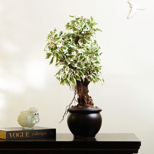 Artificial Trees/Plants Whispers of Nature - Artificial Ficus Plant ~ 2 Feet Tall