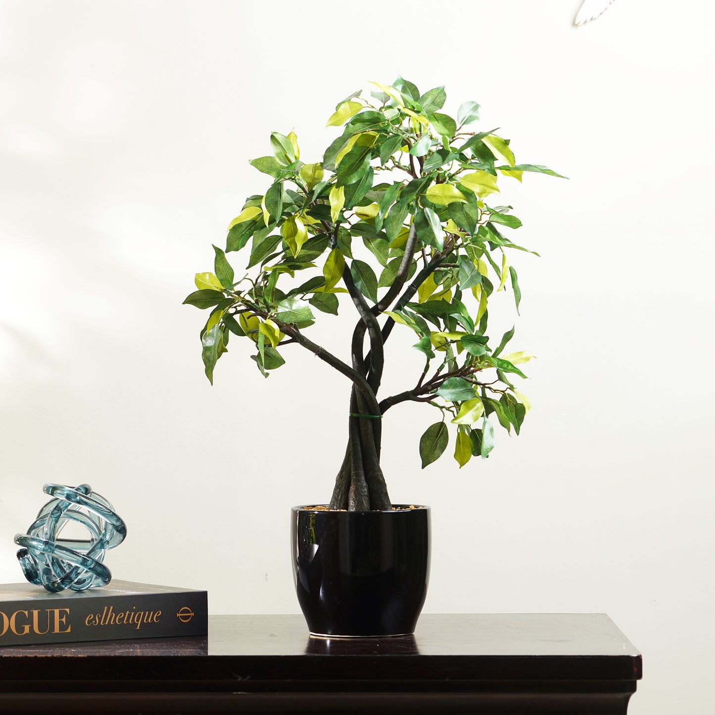 Artificial Trees/Plants Timeless Radiance - Artificial Ficus Plant ~ 2 Feet Tall