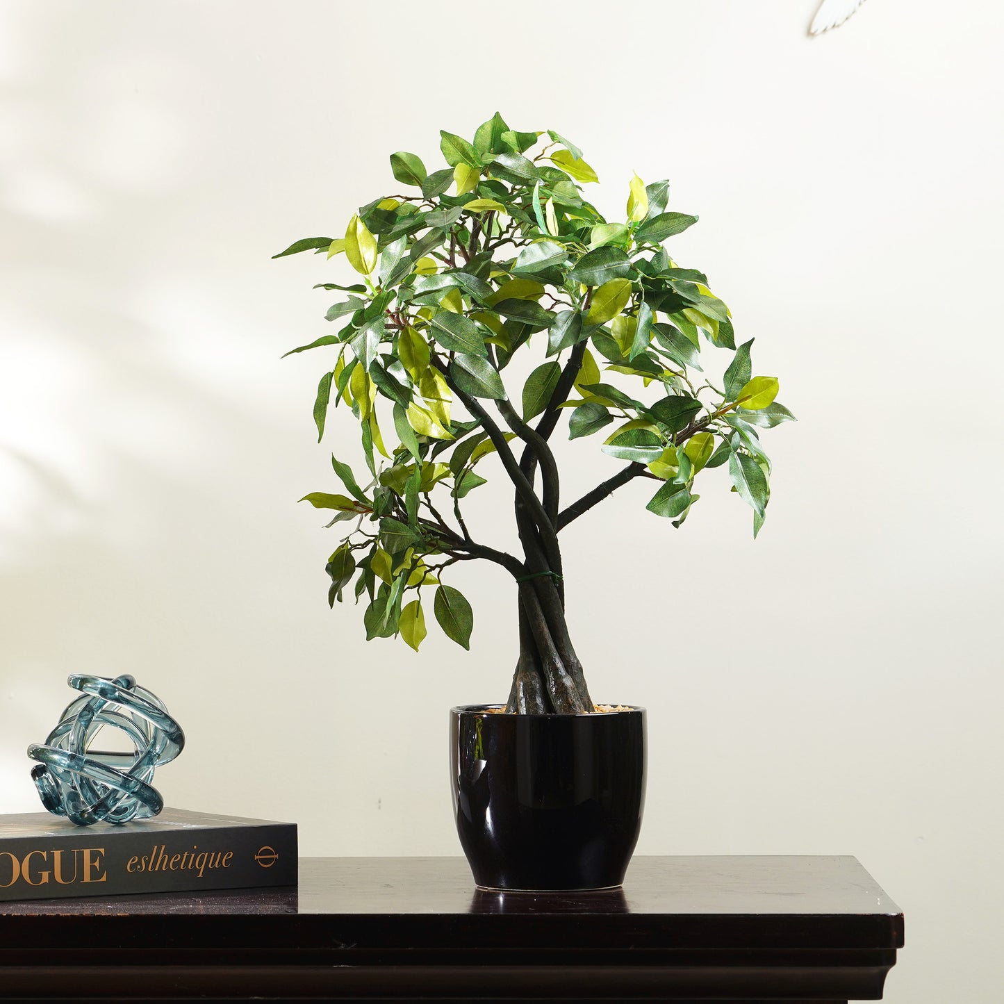 Artificial Trees/Plants Timeless Radiance - Artificial Ficus Plant ~ 2 Feet Tall