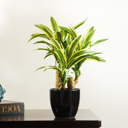 Artificial Trees/Plants Resilience Retreat - Artificial Dracaena Tree ~ 1 Feet Tall