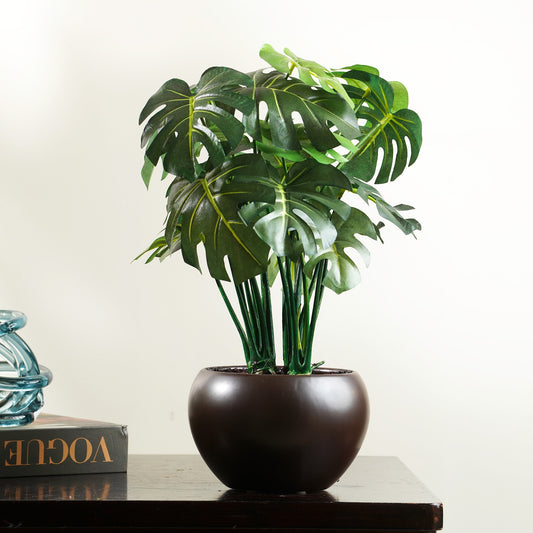Artificial Trees/Plants Nature's Majesty - Philodendron Artificial Plant ~ 1.5 Feet Tall