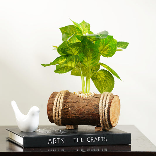 Artificial Trees/Plants Rustic Charm - Small Artificial Plant ~ 1 Feet Tall