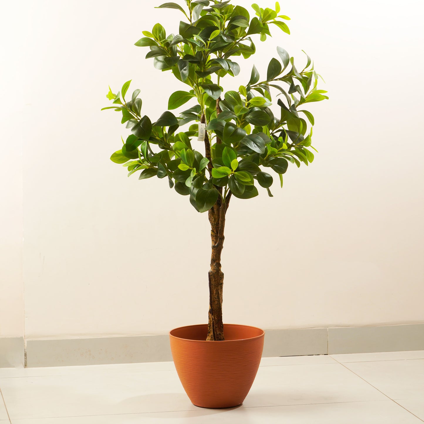 Terrane - Orange Plant Pot ( 12" x 9")