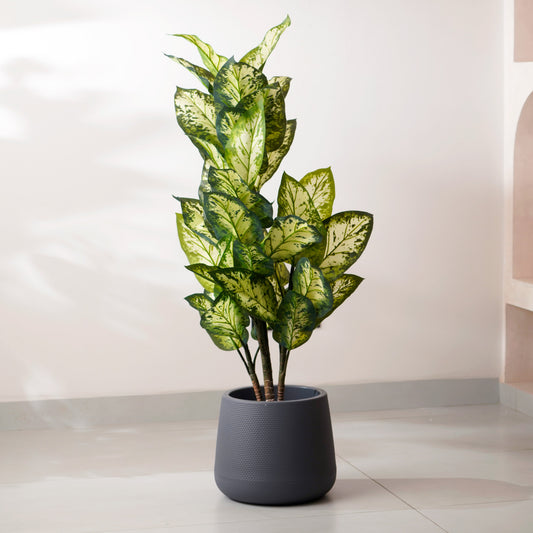 Mesa - Dark Grey Plant Pot ( 11" x 11")