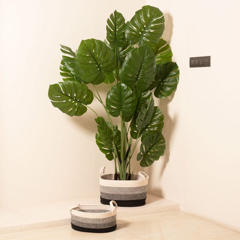 The Paradise Greens - Artificial Monstera Tree - 6 Feet Tall (With Black Base Pot)