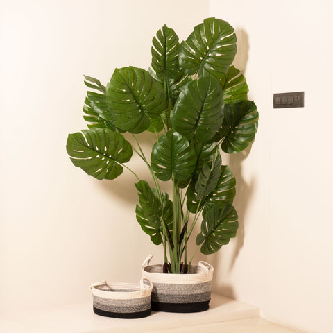 The Paradise Greens - Artificial Monstera Tree - 6 Feet Tall (With Black Base Pot)