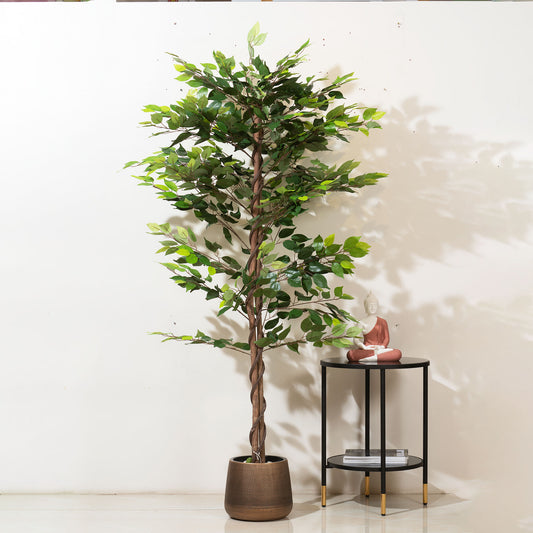 Ficus Whispers of Nature - Style 2 - 6.2 Feet Tall Artificial Ficus Plant