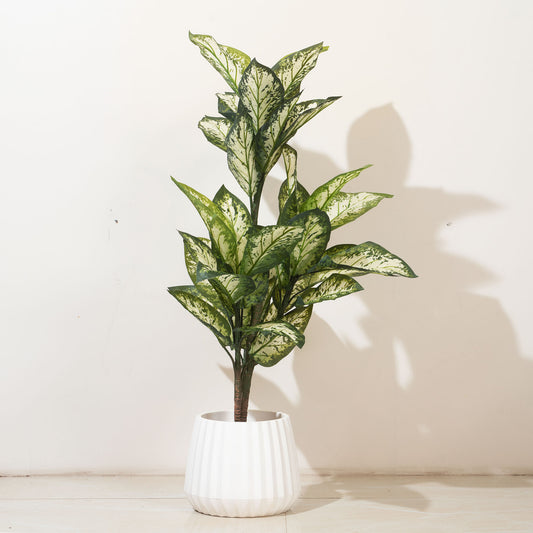 Artificial Trees/Plants The Abundant Beginnings - Artificial Dieffenbachia Plant - 4 Feet Tall