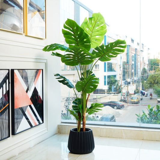 Frosty Monstera Haven - 5 Feet Tall Artificial Plant