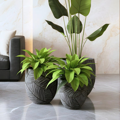 Eden ~ Grey Sculptural Plant Pots