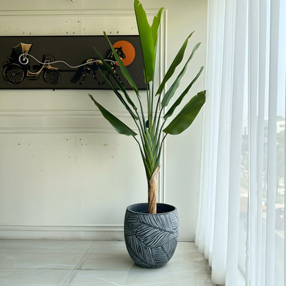 Eden ~ Grey Sculptural Plant Pots