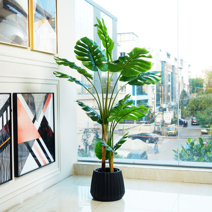 Frosty Monstera Haven - 5 Feet Tall Artificial Plant