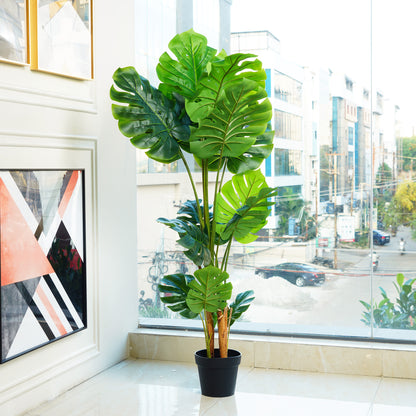 Frosty Monstera Haven - 5 Feet Tall Artificial Plant