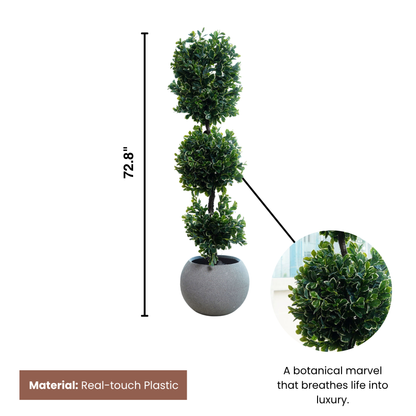 Arboris - Artificial Polyscias Fruticosa Plant - 6 Feet Tall