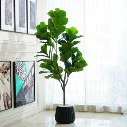 Alto - Artificial Fiddle Leaf Tree ~ 6 Feet Tall