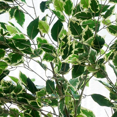 Arboris - Artificial Ficus Tree ~ 4 Feet Tall