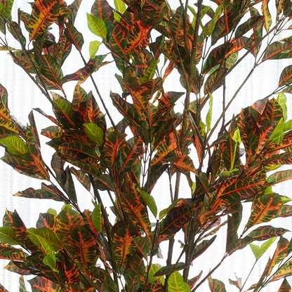 Croma - Artificial Croton Tree ~ 5 Feet Tall