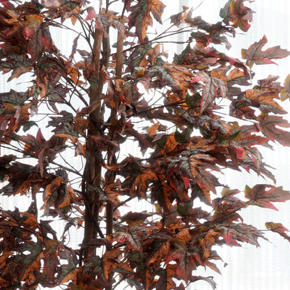 Amberfall - Artificial Maple Tree - Style 2 ~ 6.5 Feet Tall