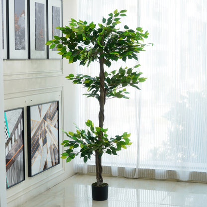 Perennia - Artificial Ficus Plant ~ 6 Feet Tall