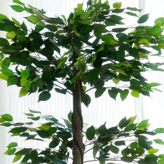Perennia - Artificial Ficus Plant ~ 6 Feet Tall