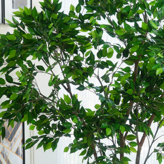 Perennia - Artificial Ficus Plant ~ 7 Feet Tall