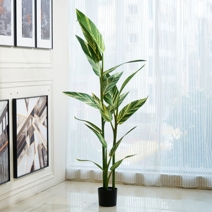 Selva - Artificial Dieffenbachia Plant ~ 6 Feet Tall