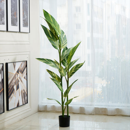 Selva - Artificial Dieffenbachia Plant ~ 6 Feet Tall