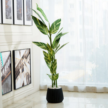 Selva - Artificial Dieffenbachia Plant ~ 6 Feet Tall