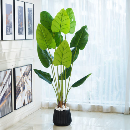 Alva by La Muse – 6 ft Artificial Alocasia Plant for Living Room & Office