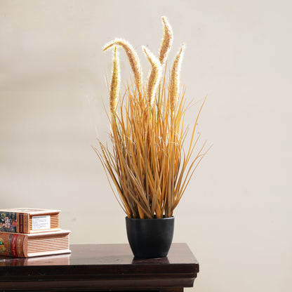 Fallow - Artificial Dogtail Plant ~ 2 Feet Tall