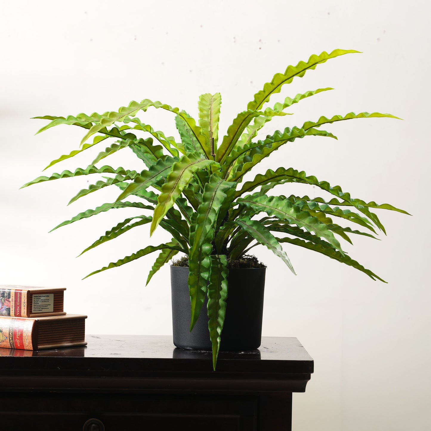 Nidus - Artificial Birds Nest Plant ~ 2 Feet Tall