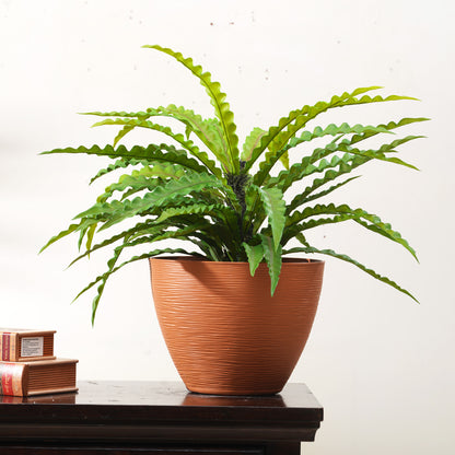 Nidus - Artificial Birds Nest Plant ~ 2 Feet Tall