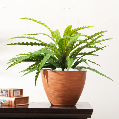 Nidus - Artificial Birds Nest Plant ~ 2 Feet Tall