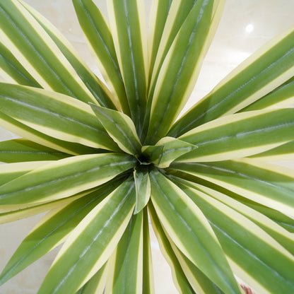 Oasis - Artificial Agave Tree ~ 2.5 Feet Tall